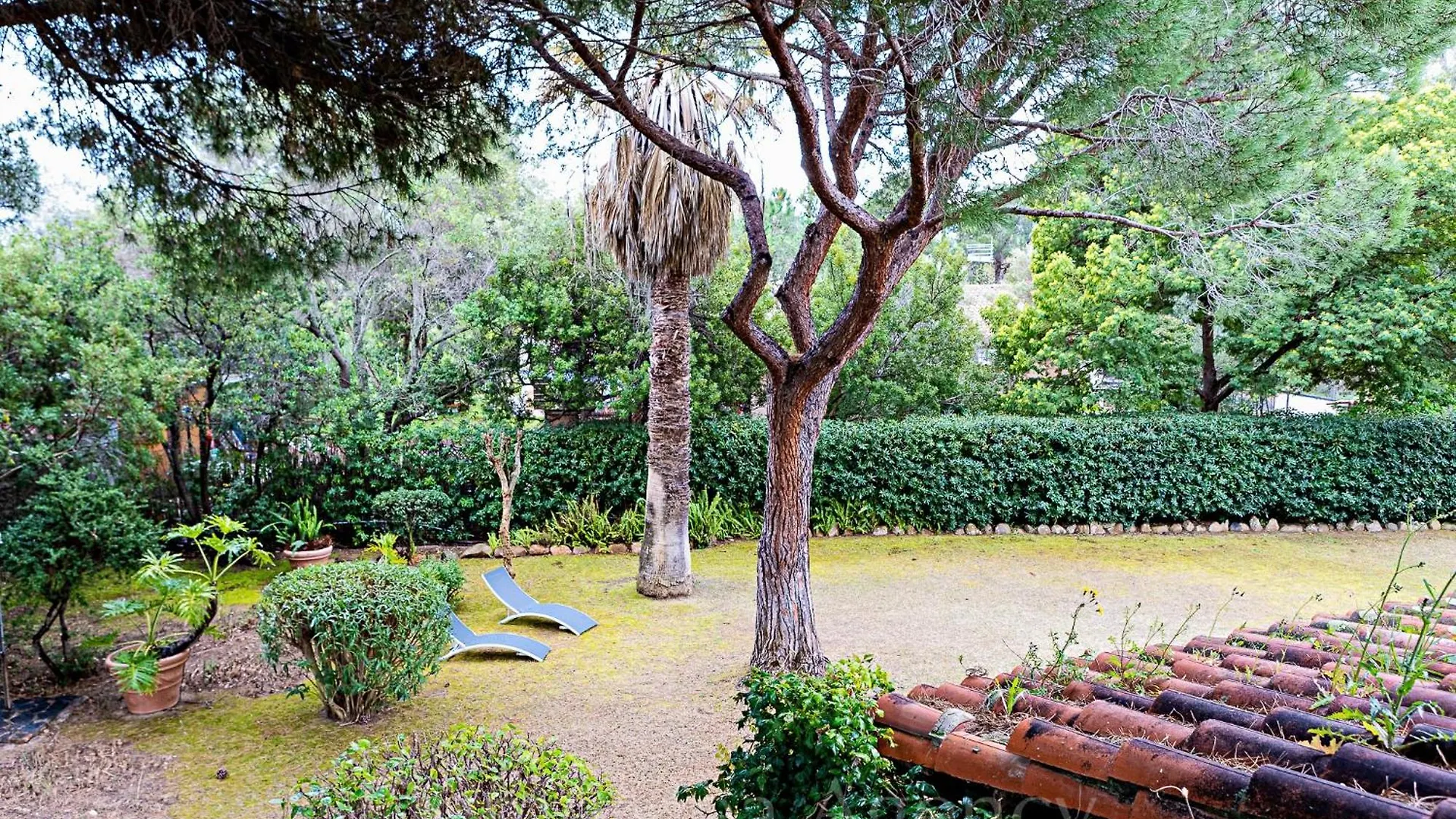 Villa Meaculpa - A Pochi Passi Dal Mare Is Morus 0*,  意大利